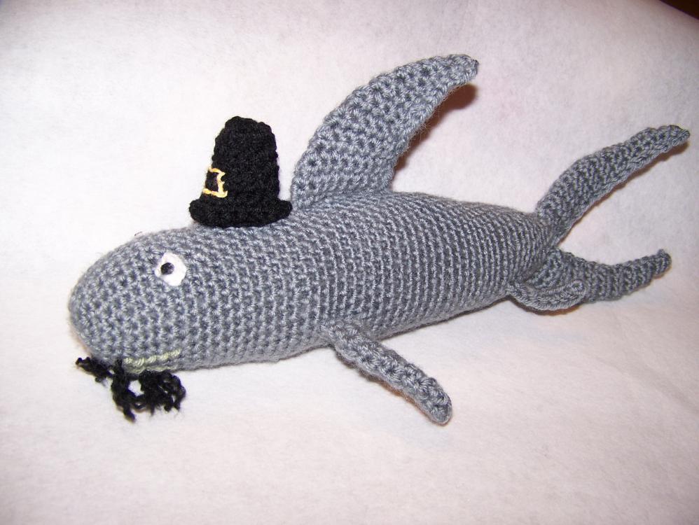 Shark Lincoln-100_5740-jpg