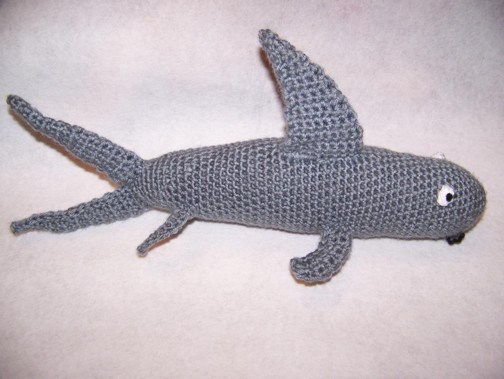 Shark Lincoln-100_5733-jpg