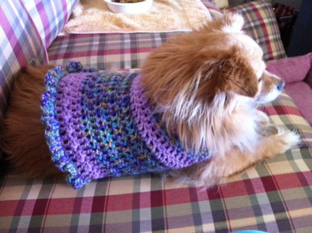 hello everyone!  dog sweater patterns (crochet) ?-photo-2-jpg