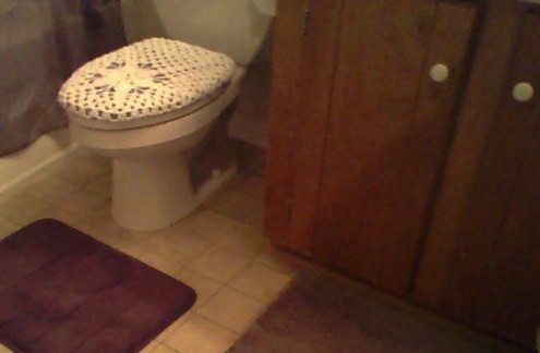 Rememeber the toilet LID cover I got stuck on round 4 on several wks aog???-tf1-jpg