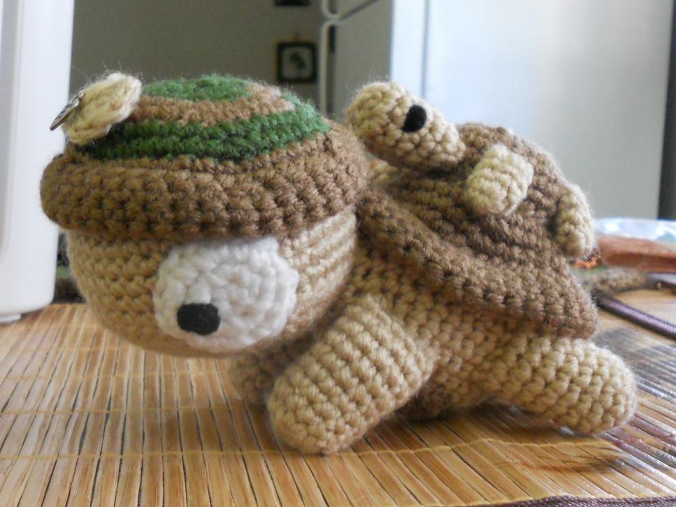 I made a second girl turtle for my boy turtle.-dscn4087-jpg