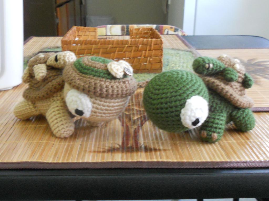 I made a second girl turtle for my boy turtle.-dscn4093-jpg
