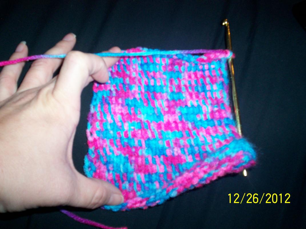 Barbara's Latest Project - Cell Phone Holder-100_6005-jpg