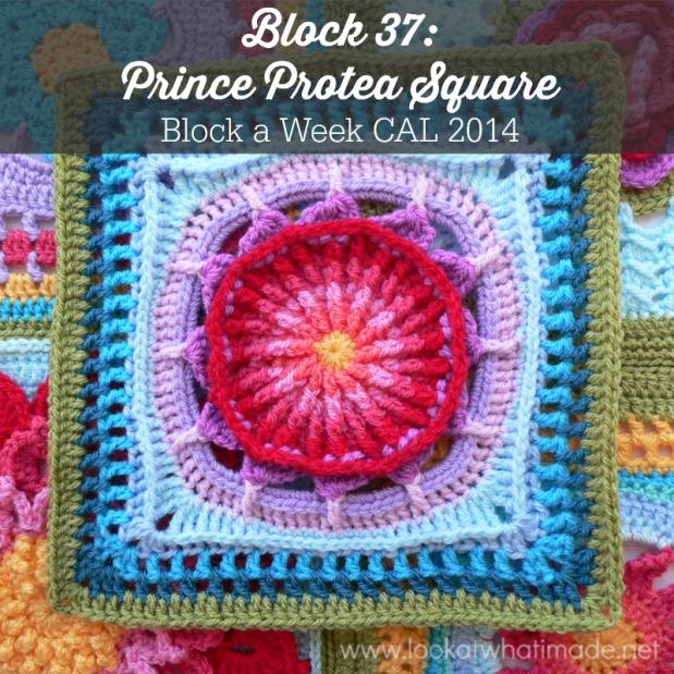 Crochet Prince Protea Square-prince-protea-square-jpg