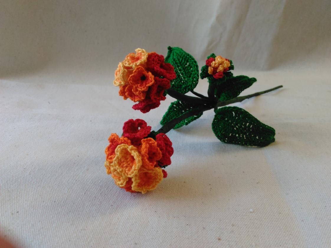 Citrus Blend Lantana Camara Crochet Flower (Free Pattern)!-img_20160512_155117-jpg