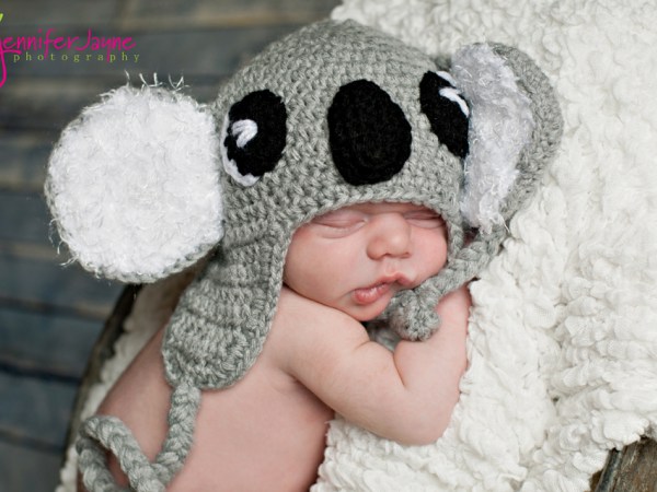 Crochet Koala Hat-koala-crochet-hat-free-pattern-jennyandteddy-jpg