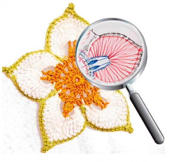 Julia Tushnicka Flower-Talisman Crochet Pattern-number00007-jpg