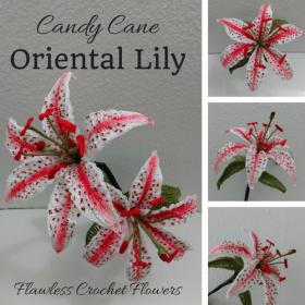 Candy Cane Lily Pattern-candy-cane-2-jpg
