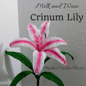 Free Milk and Wine Crinum Lily Crochet Flower Pattern-milk-wine-1-jpg
