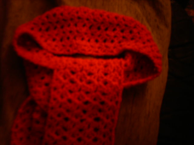 My scarf from the crochet a long-scarf-jpg