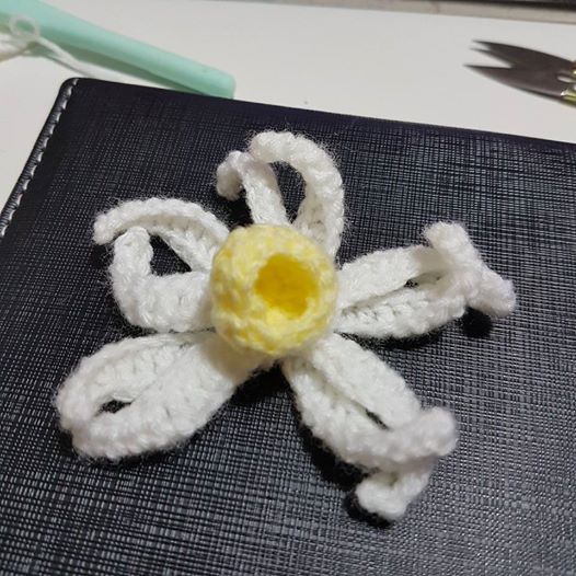 New to crochet: Need help with flower pattern-16143148_10154593978393141_1291252766645487185_n-jpg