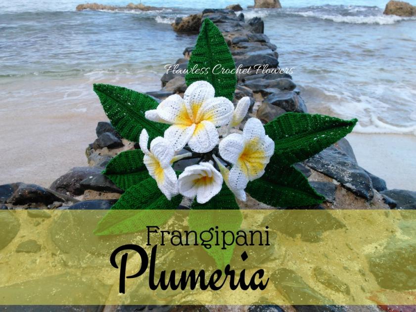 Plumeria Flower Pattern-plumeria-jpg