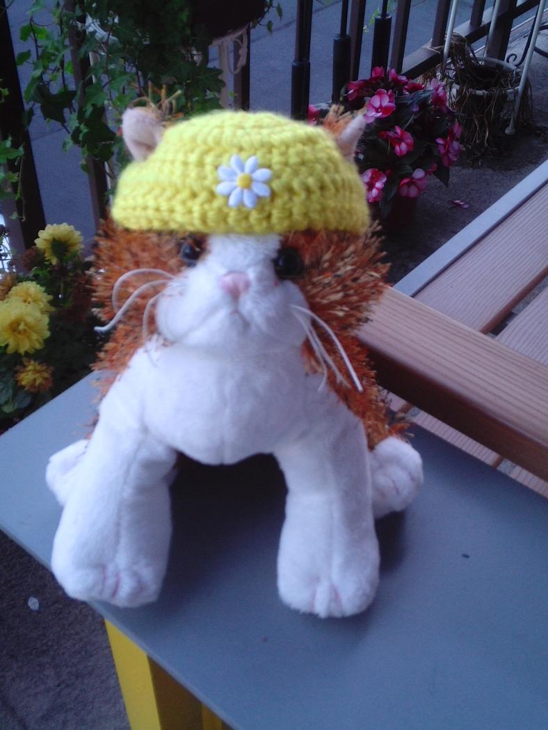Crocheted Stuffed Cat Hat-pic_1820-jpg