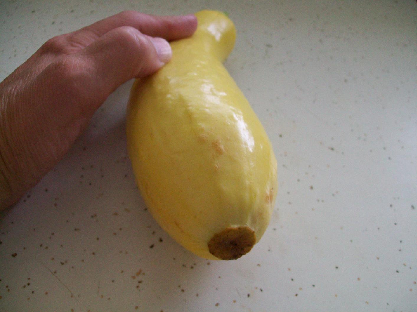 Have you ever seen squash like this?-025-jpg