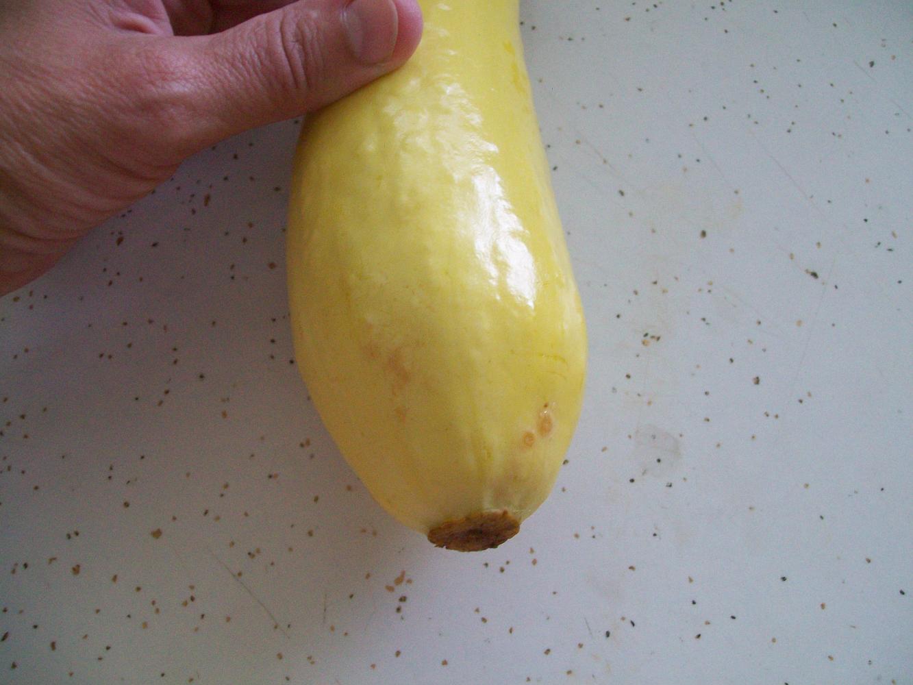 Have you ever seen squash like this?-024-jpg