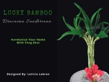 Crochet Lucky Bamboo-lucky-bamboo-dracaena-sanderiana-2-jpg