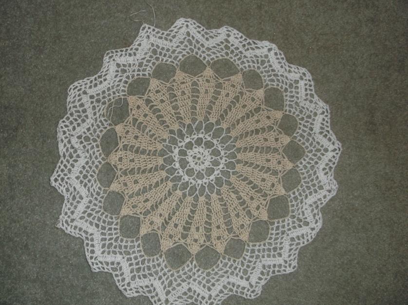 Floral lace tablecloth-dscf1669-jpg