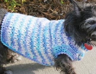 Dog Sweater Free Crochet Pattern (English)-dog-sweater-free-crochet-pattern-jpg