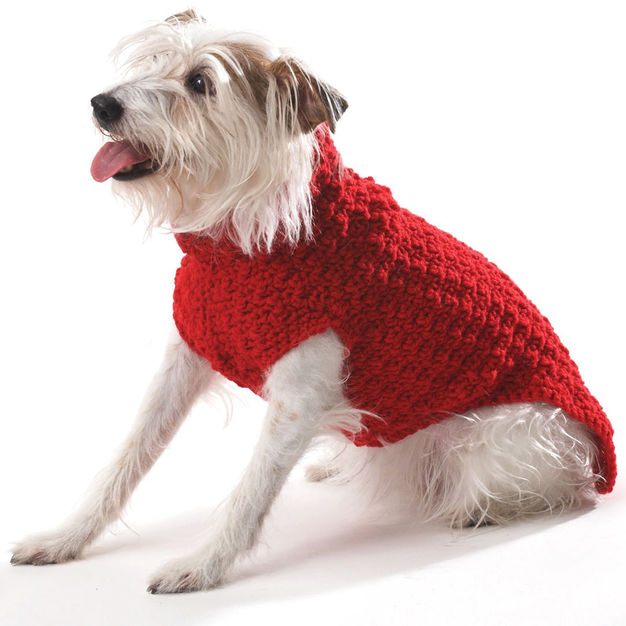 Red Dog Sweater Free Crochet Pattern (English)-red-dog-sweater-free-crochet-pattern-jpg