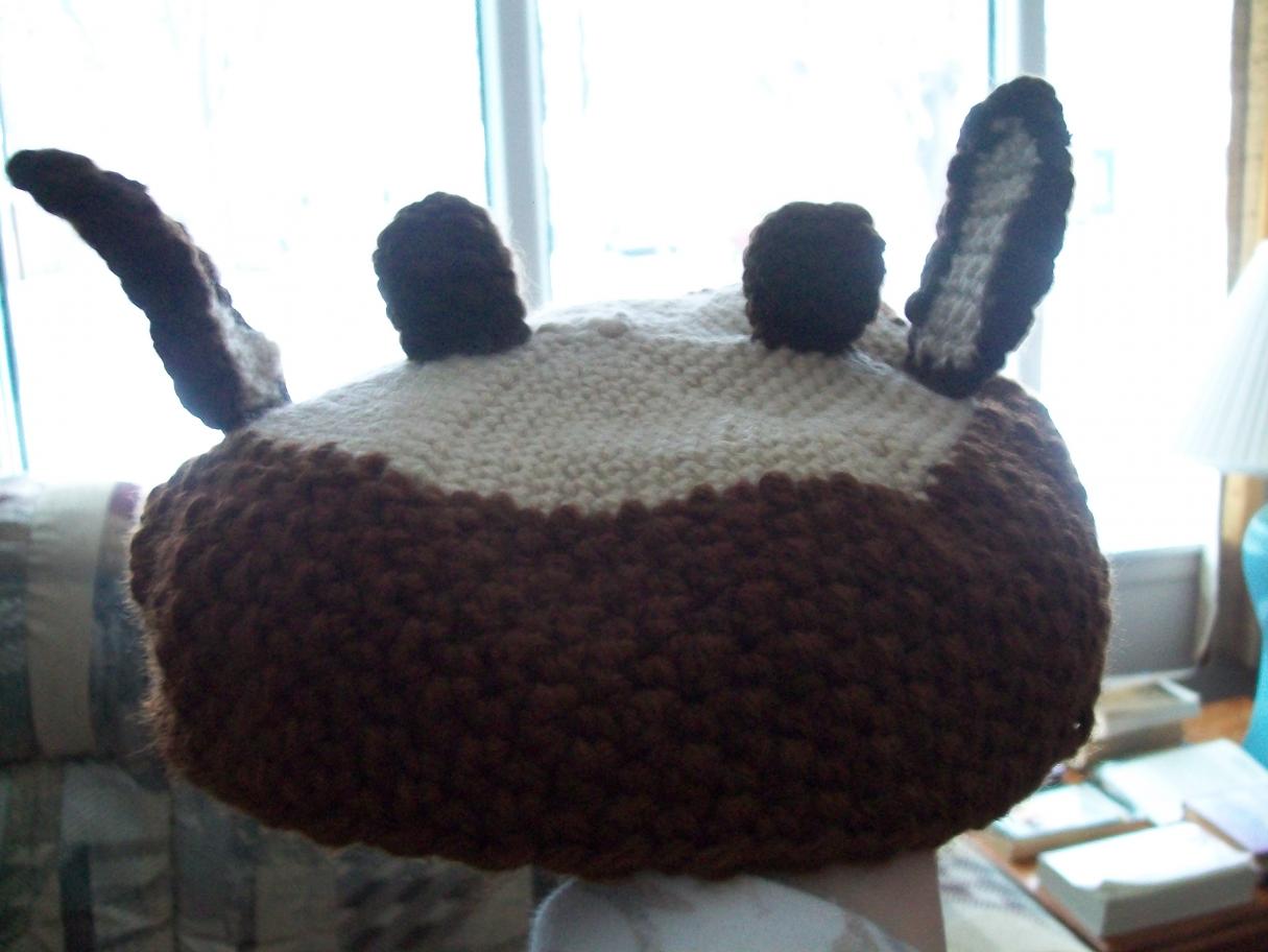 I finished the reindeer hat for my sister for Christmas-010-jpg