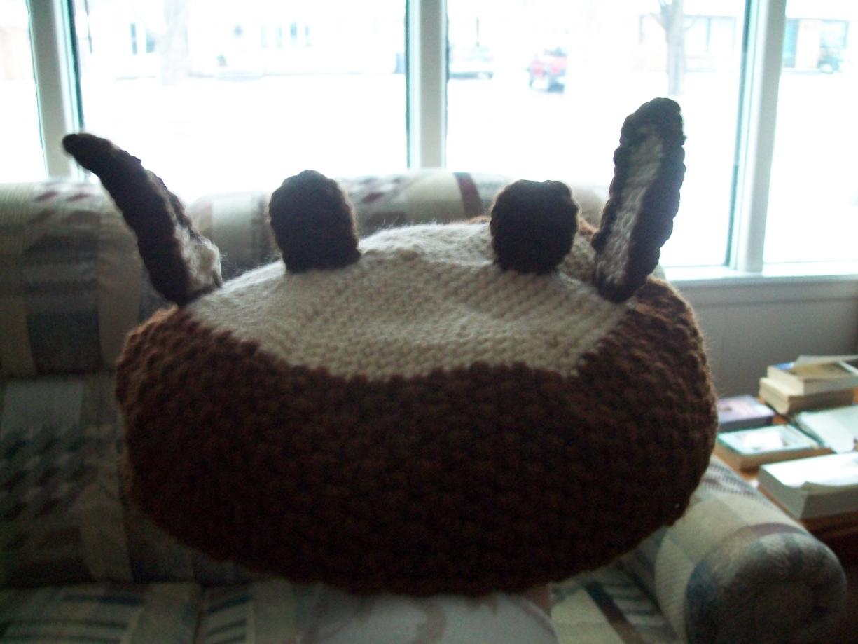 I finished the reindeer hat for my sister for Christmas-009-jpg
