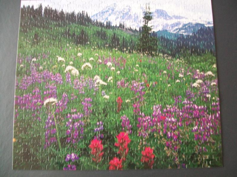 I just finished a jigsaw puzzle-002-jpg