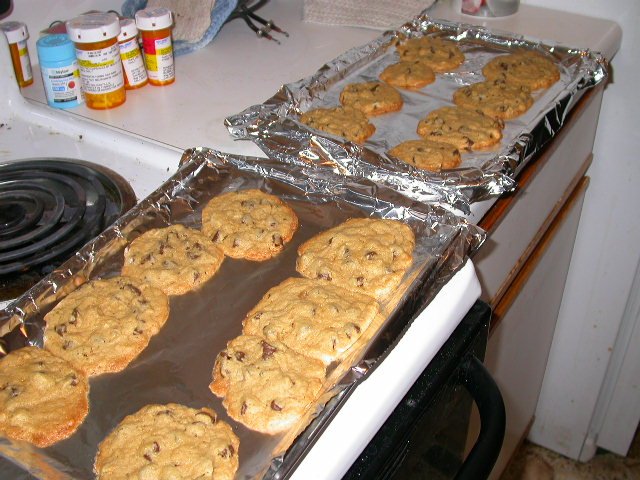 Cookies, not pork chops, LOLOL-christmascookies-jpg