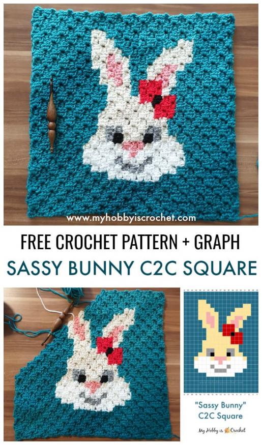 Sassy Bunny C2C Square-bunny-jpg