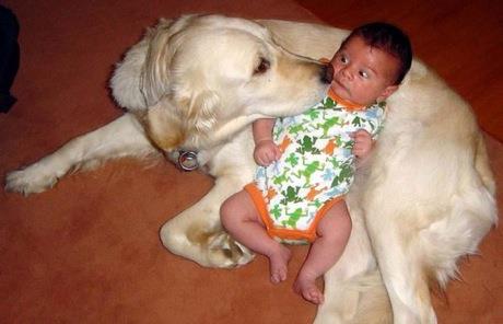 Super CUTE Picture of a Baby and their Dog!!-babywithsweetdog-jpg
