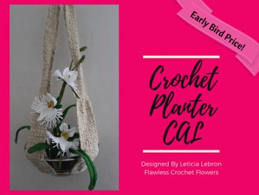 Egret Orchid and Planter Crochet Along-planter-jpg