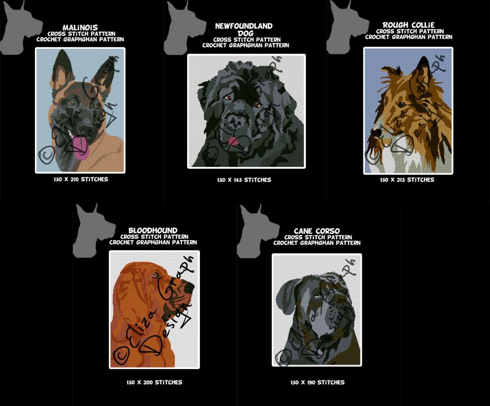 Bloodhound, Cane Corso, Malinois, Newfoundland, Rough Collie-untitled-13-jpg
