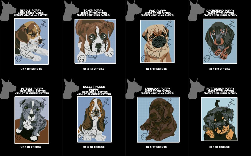 Puppies Beagle, Boxer, Basset Hound, Dachshund, Labrador, Pitbull, Pug, Rottweiler-untitled-14-jpg