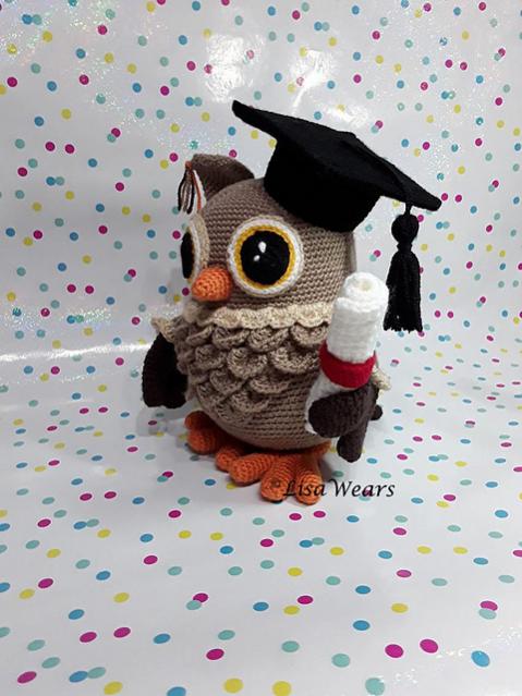 Wisdom the Graduation Owl-owl-jpg
