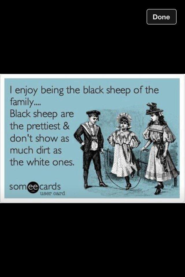 Are you the Black Sheep of your family? Come on DOWN!!-blacksheep-jpg