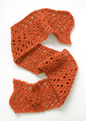 Lacy Pumpkin Scarf Free Crochet Pattern (English)-lacy-pumpkin-scarf-free-crochet-pattern-jpg