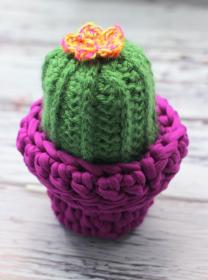 Camel Stitch Cactus Free Crochet Pattern (English)-camel-stitch-cactus-free-crochet-pattern-jpg