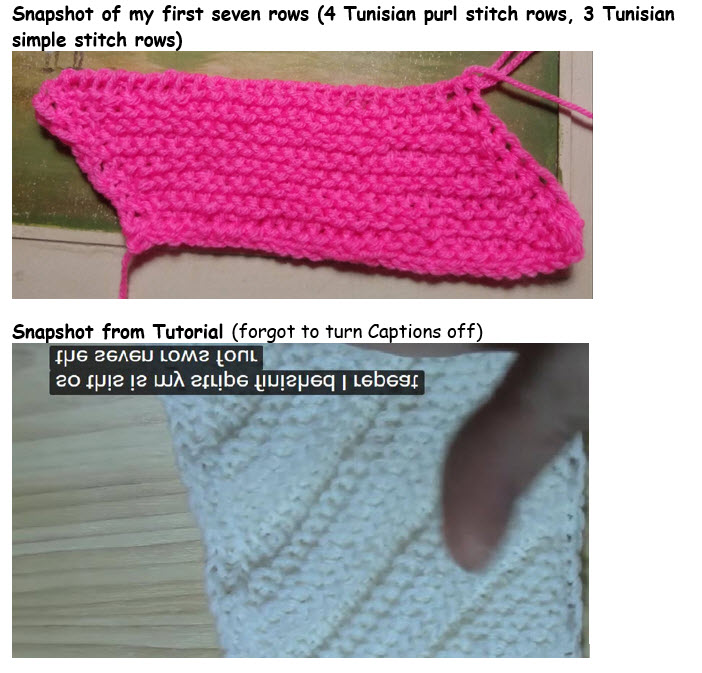 Where to insert hook-crochet-snapshots_edited-jpg