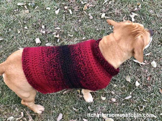 Quick &amp; Easy Medium-size Dog  Sweater-crochet-medium-dog-sweater-19-final-jpg
