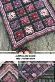 Autumn Aster Blanket-aster1-jpg