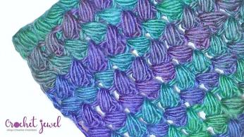 Crochet Braided Stitch-8851f5fa-5c78-4e8f-9060-e4275986bdb3-jpg