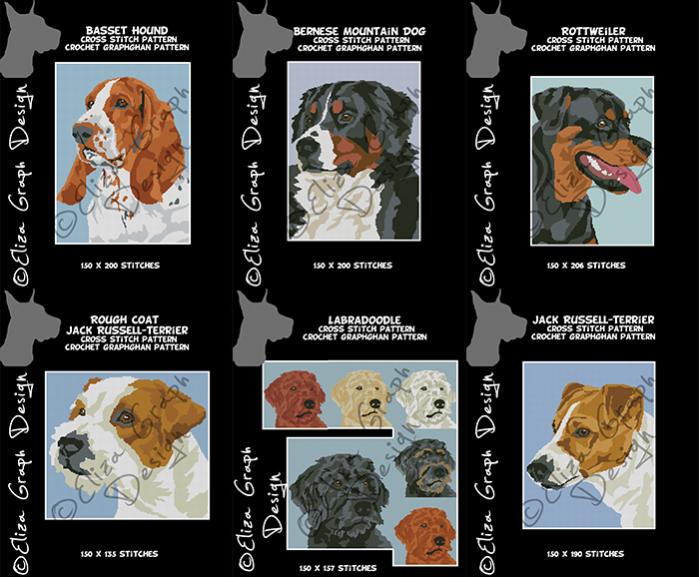 Basset Hound, Bernese Mountein Dog, Jack Russell Terrier, Labradoodle-unitled-19s-jpg