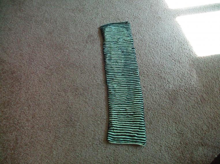 I finished knitting the 'duckie illusion scarf'-100_6988-jpg