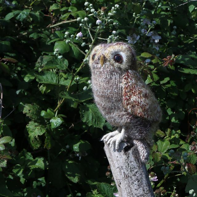 Tawny Owl, knit-b1-jpg