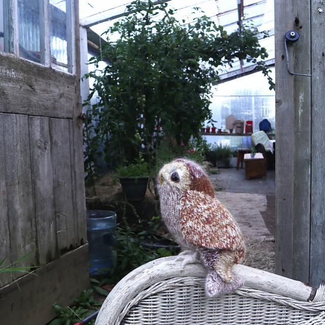 Tawny Owl, knit-b3-jpg