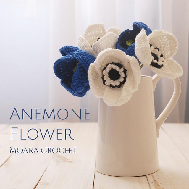 Anemone Flower-b1-jpg