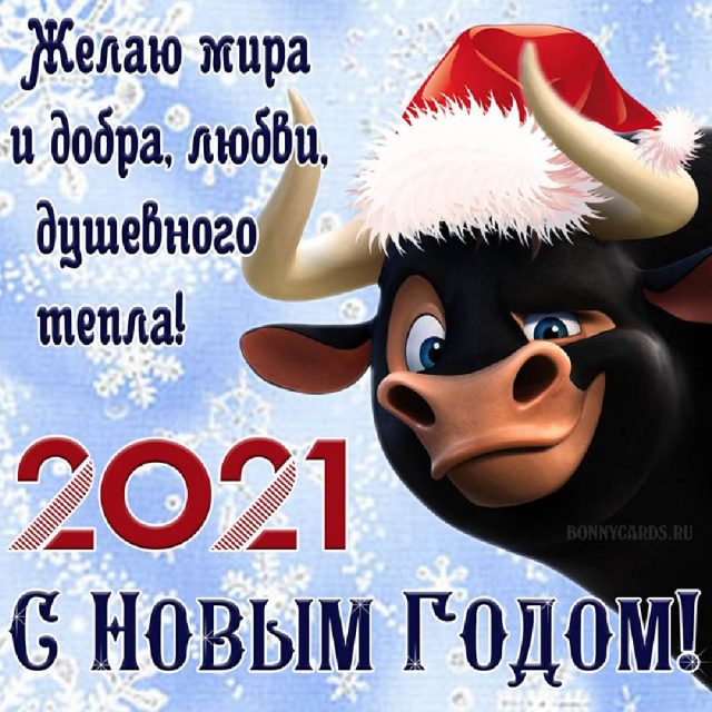 Happy New Year!-1-305-640x640-jpg