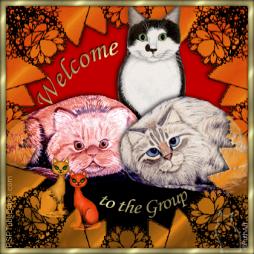 Hi, I'm Marcia-welcometothegroupcats-jpg