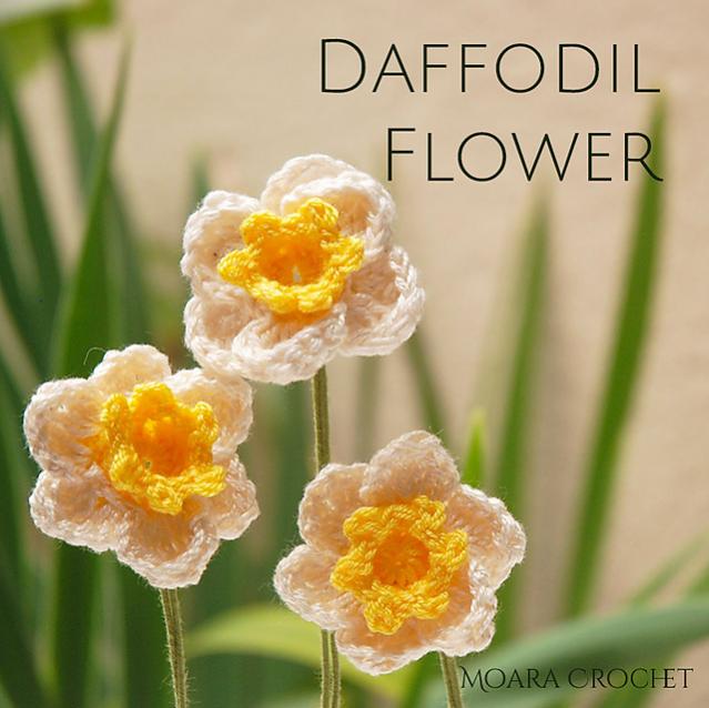 Daffodil Flower-e1-jpg