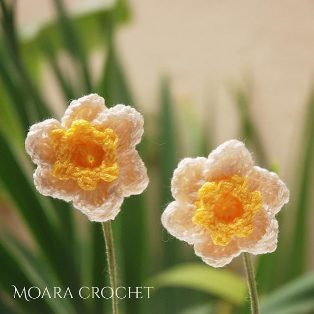 Daffodil Flower-e3-jpg