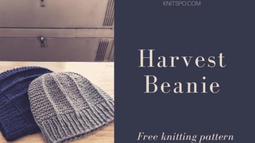 Harvest Beanie and Scarf for Adults, knith-d2-jpg